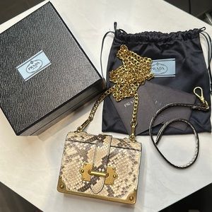 PRADA Python Micro/Mini Cahier Chain Crossbody Bag Wristlet